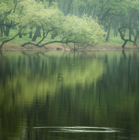 【用妆】“头”等大事！准备染发的你要注意了→