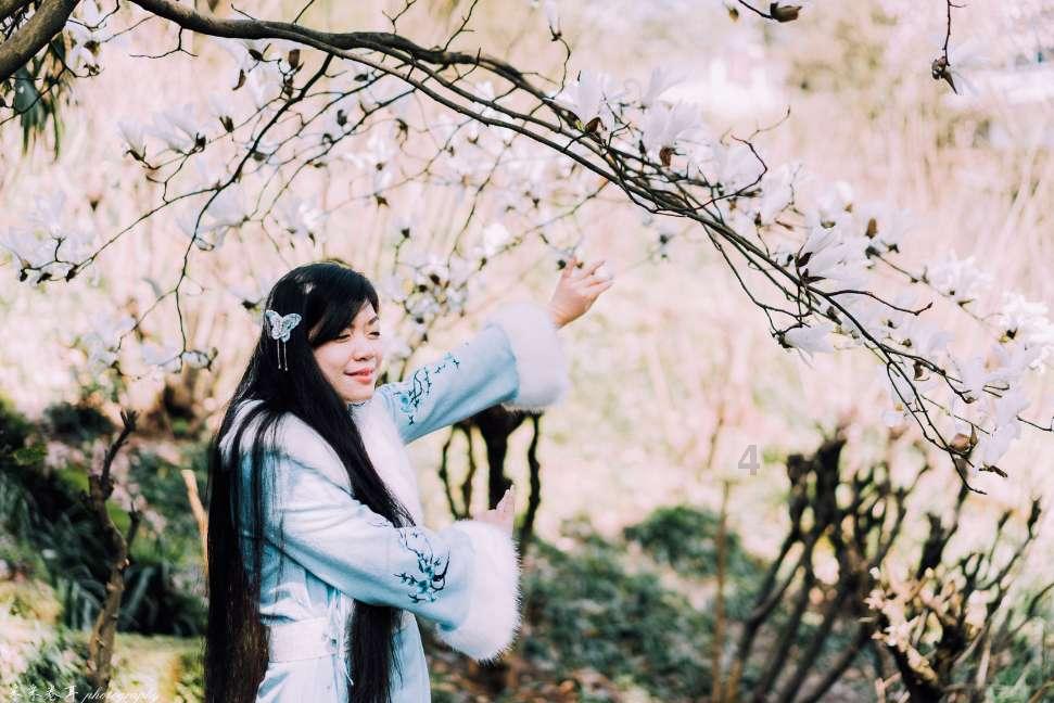 紫石英号事件：为何英军如此嚣张？一艘军舰就敢直冲华野炮兵阵地