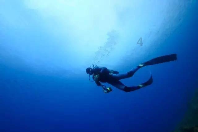 海绵宝宝寻珍宝