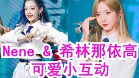 丧尸围城4