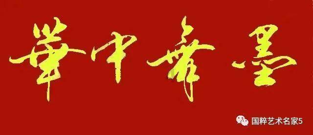 完美的收藏品