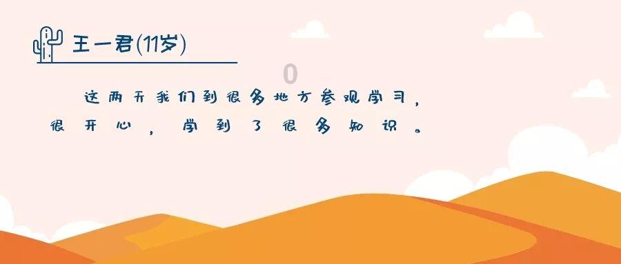 狂野的飙客