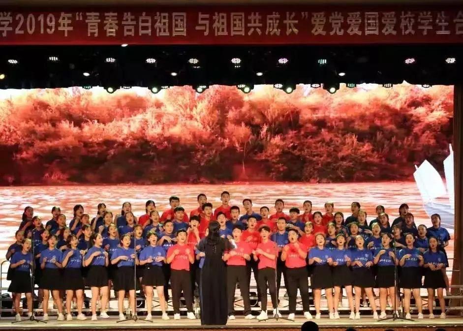 奥日与黑暗森林