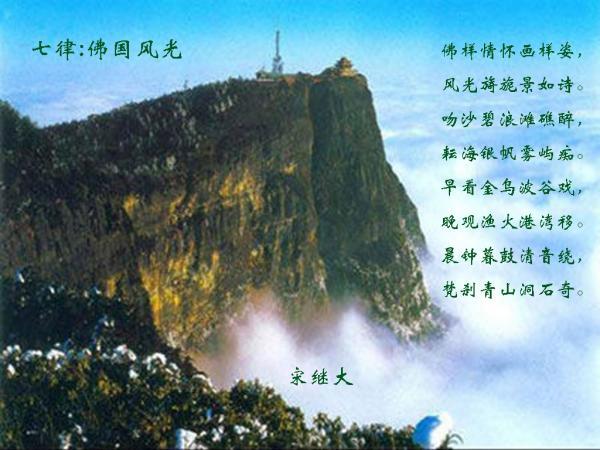 全民烧脑3去广告版