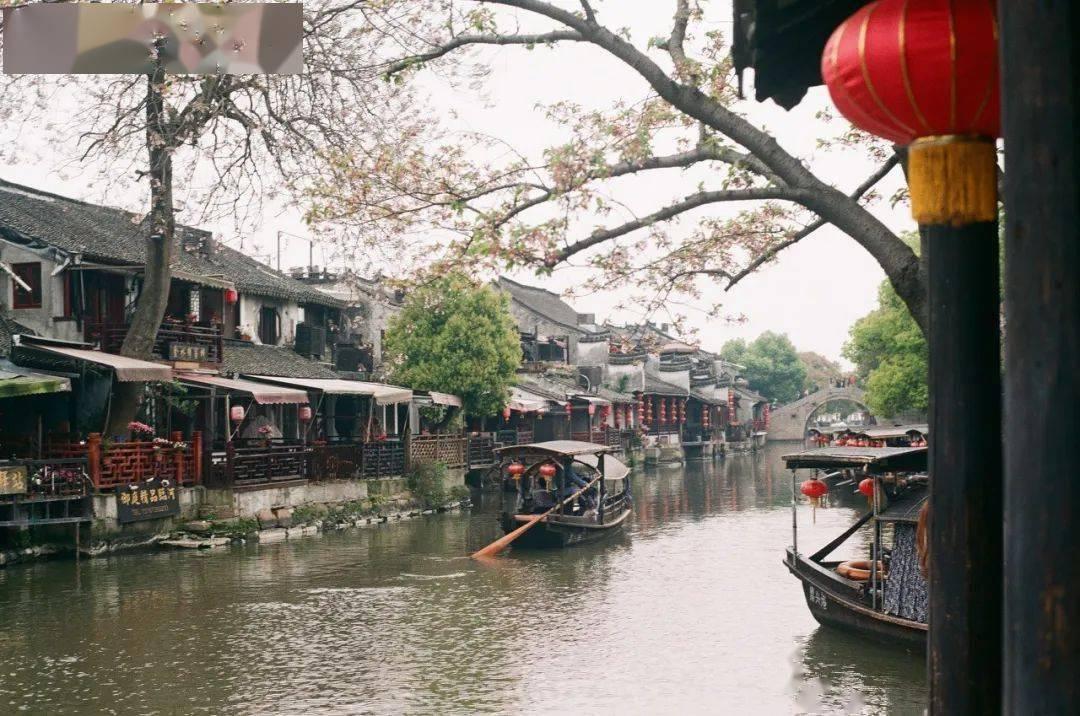 炖羊肉的正确方法是什么？游戏画面