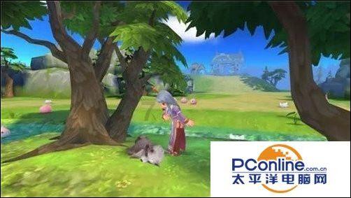 白孔雀救援